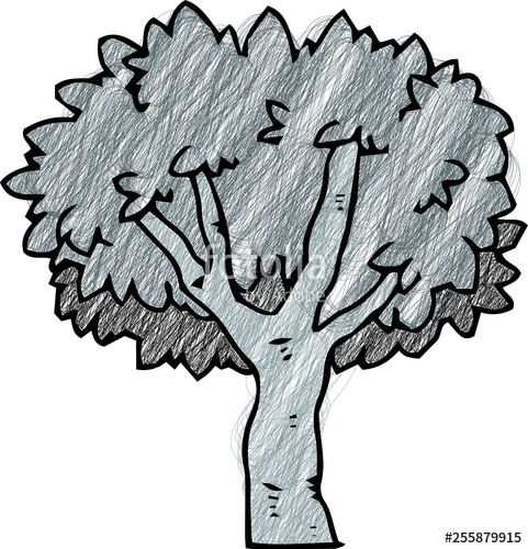 481x500 Monochrome Pencil Style Rough Sketch Of Tree Stock Image