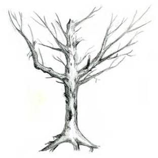 312x312 Dead Tree Sketch Drawing Drawings, Pencil Drawings, Animation