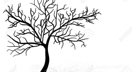 471x250 Drawing A Japanese Cherry Blossom Tree Images Black And White