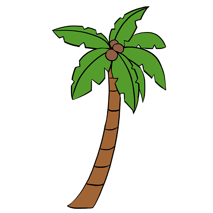 680x678 How To Draw A Palm Tree
