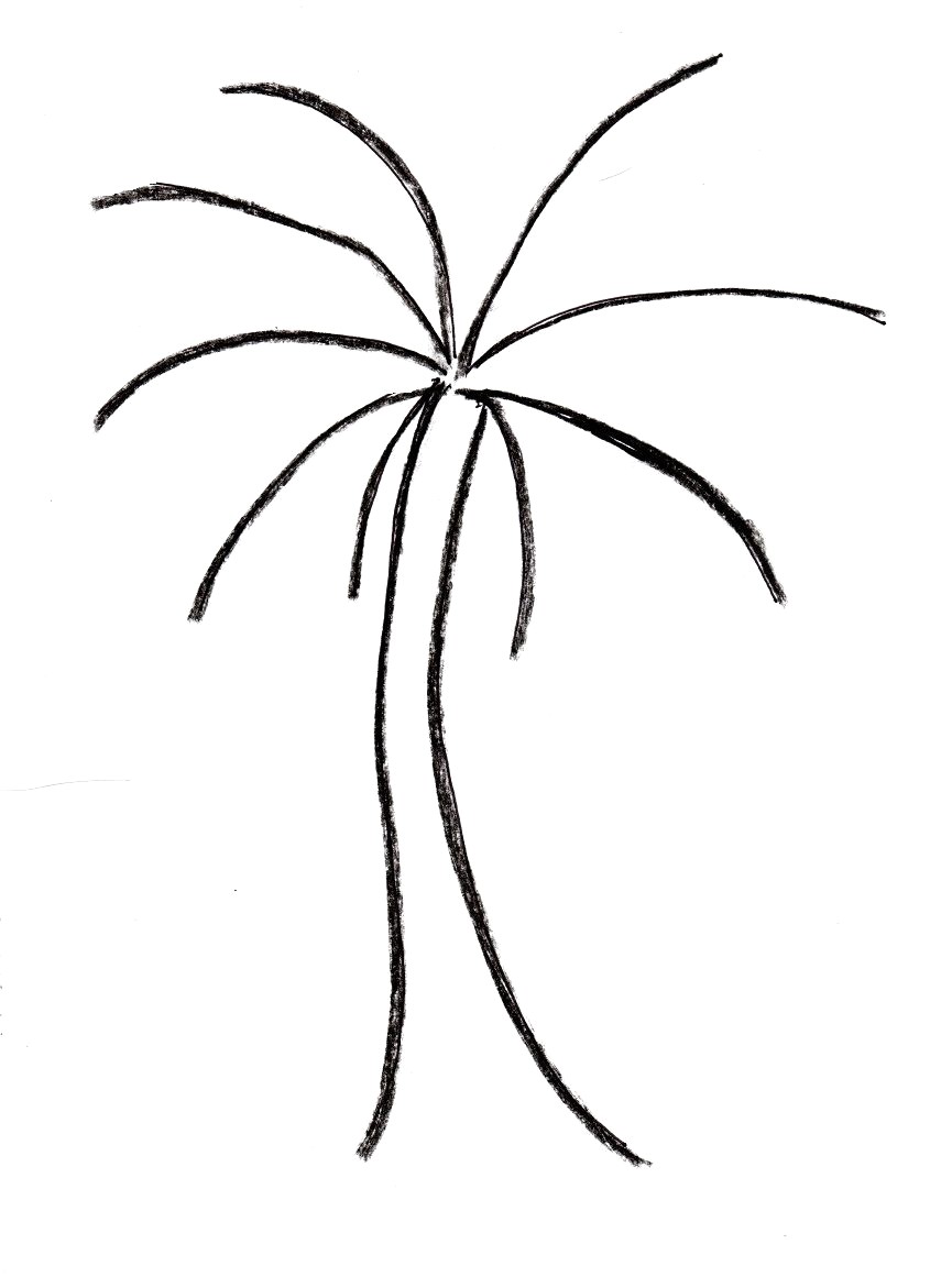 845x1171 Palm Tree Drawing