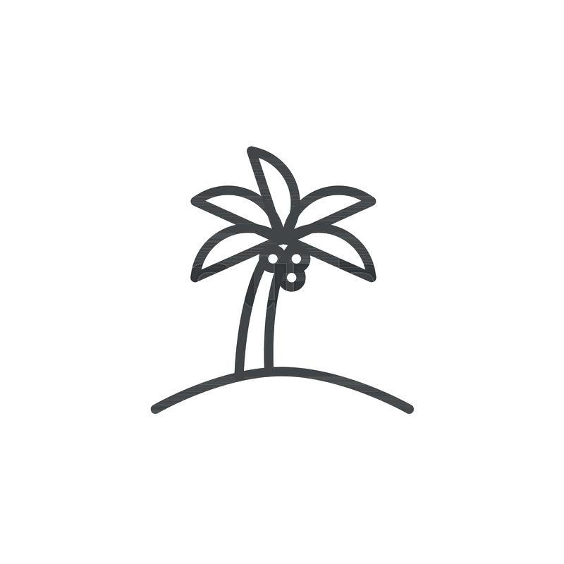 800x800 Simple Palm Tree Drawing Simple Palm Tree Line Drawing