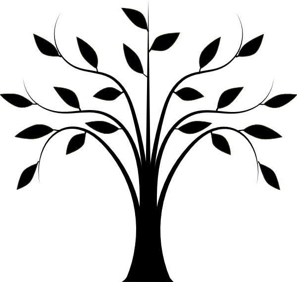 600x569 Tree Drawing Cliparts