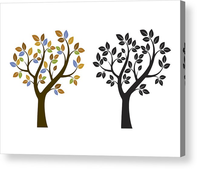 651x560 Color And Black Tree Vector Illustration Nature And Garden