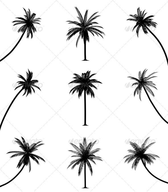 590x675 Minimalist Drawing Palm Tree For Free Download