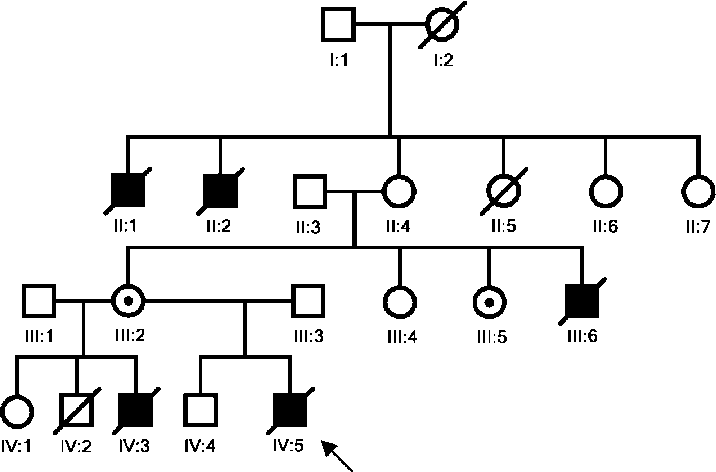 716x472 family tree of the year old patient the index patient