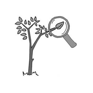 300x300 Problem Tree Analysis Sswm