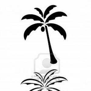 300x300 Tree Top View Watercolor Plan Set Soidergi