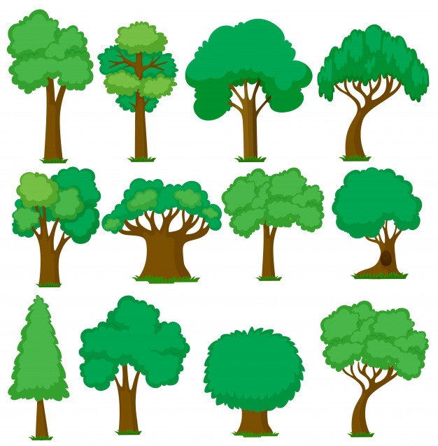 626x638 Tree Vectors, Photos And Free Download
