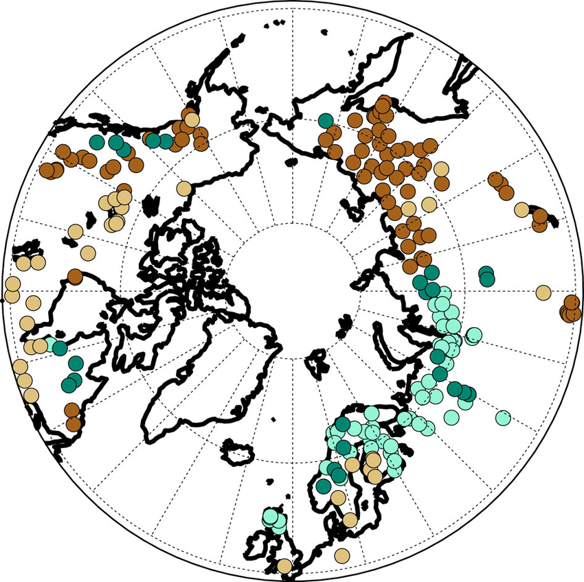 850x848 Grouping Of Arctic Tree Ring Density Chronologies