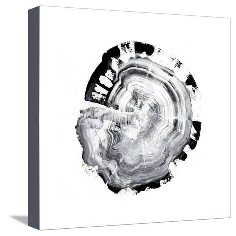 473x474 Tree Ring Abstract Iii Print