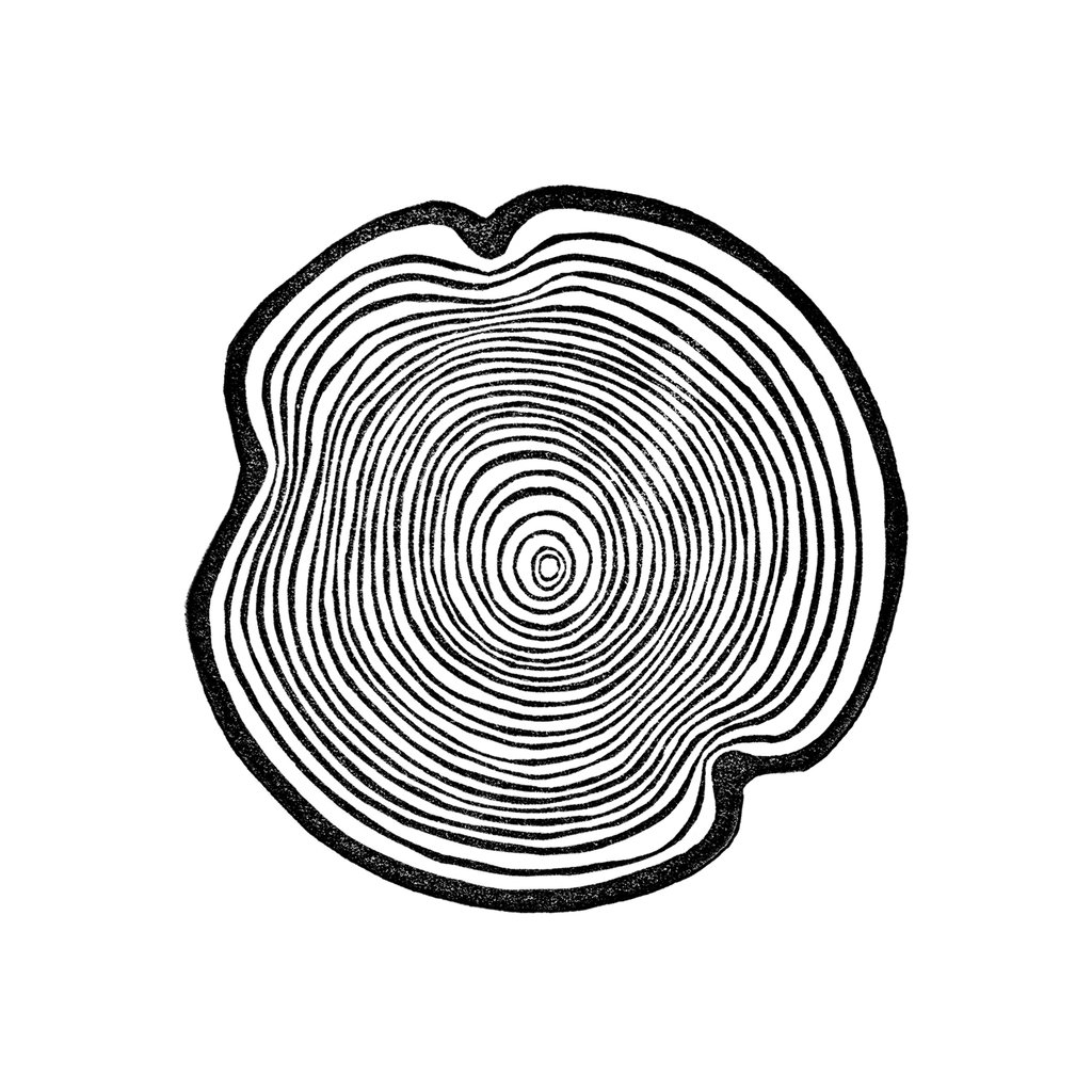 1024x1024 Tree Ring I Fine Art Print Natural Twist Graphic Design, Llc