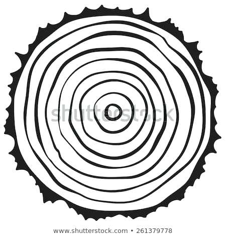 450x470 Tree Ring Drawing Leoheath Club