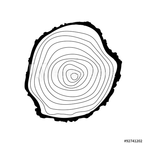 500x500 Tree Rings Icon