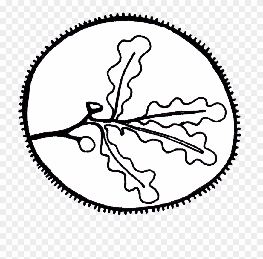 880x867 Buy Oak Leaf Coin Ring Clipart