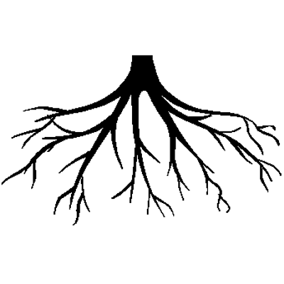 Tree Roots Drawing