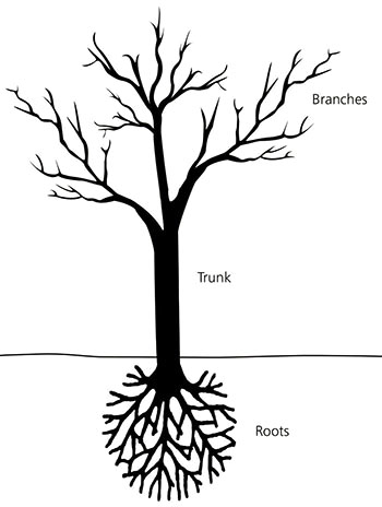 350x464 How To Draw A Tree With Roots And Branches