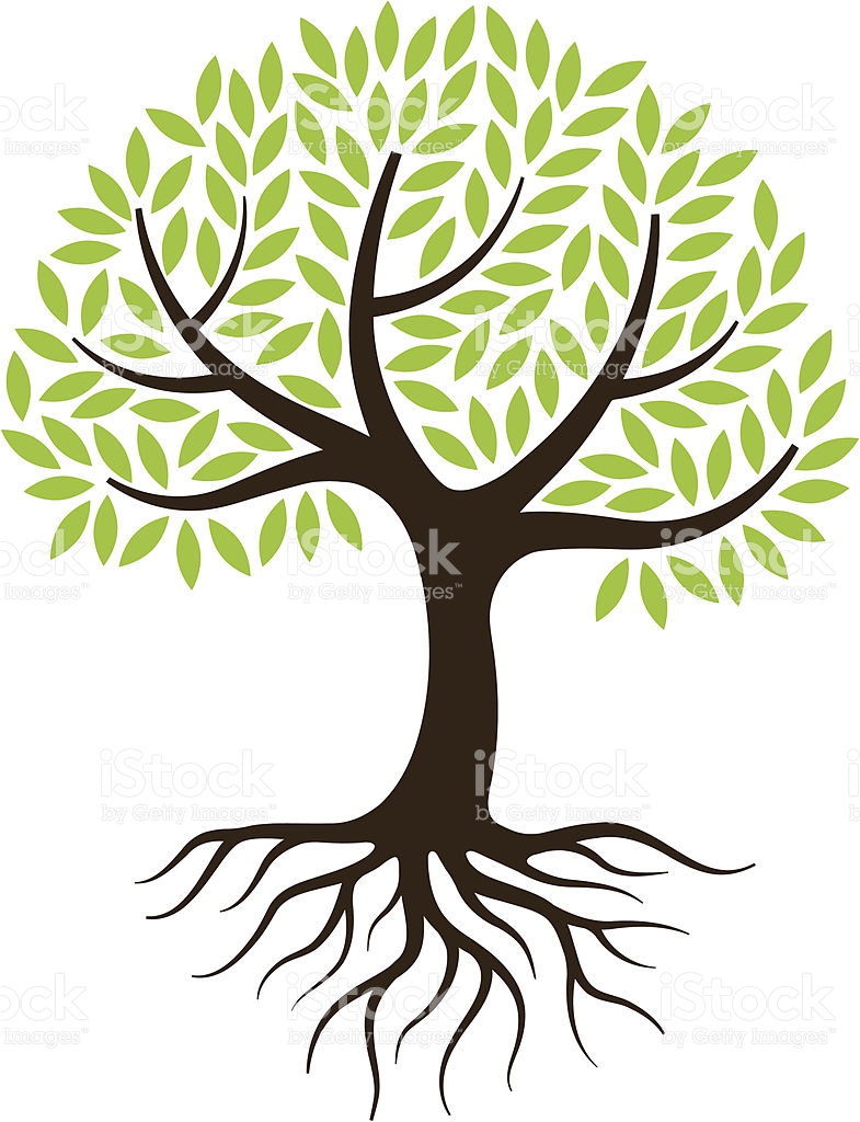 785x1024 Roots Root Texas Transparent Png Clipart Free Download