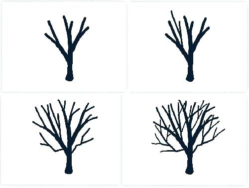 500x377 Simple Tree Drawing Tall Tree Drawing Trees Drawings Sketch