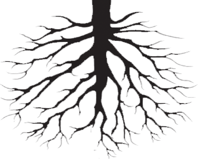 386x311 Tree Roots Cliparts