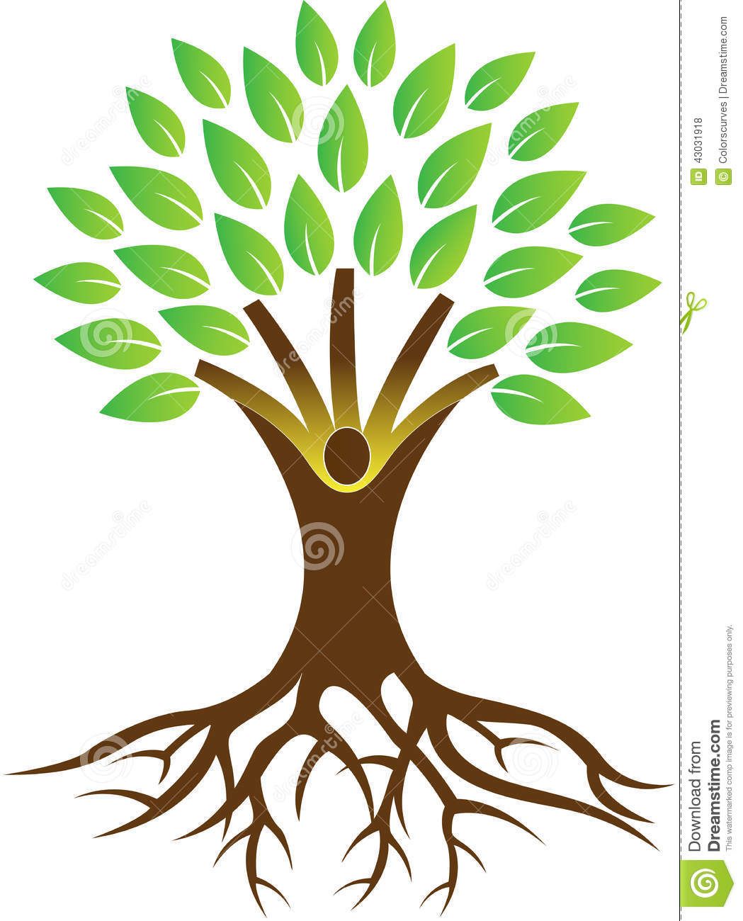 1049x1300 tree with roots drawing vector office ideas in roots