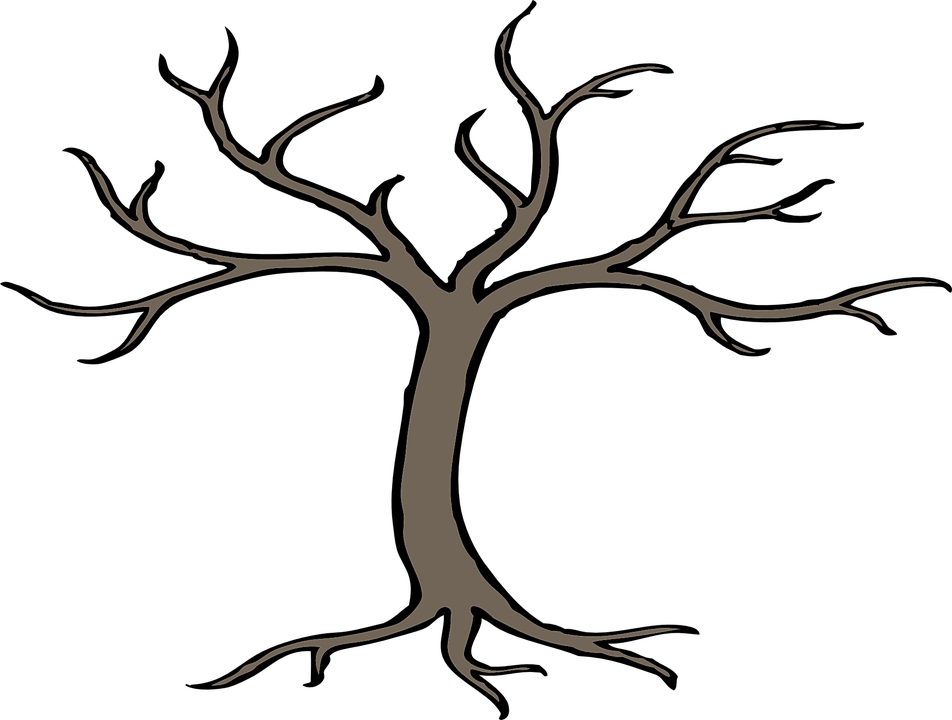 952x720 Collection Of Free Roots Drawing Fruit Tree Download On Ui Ex