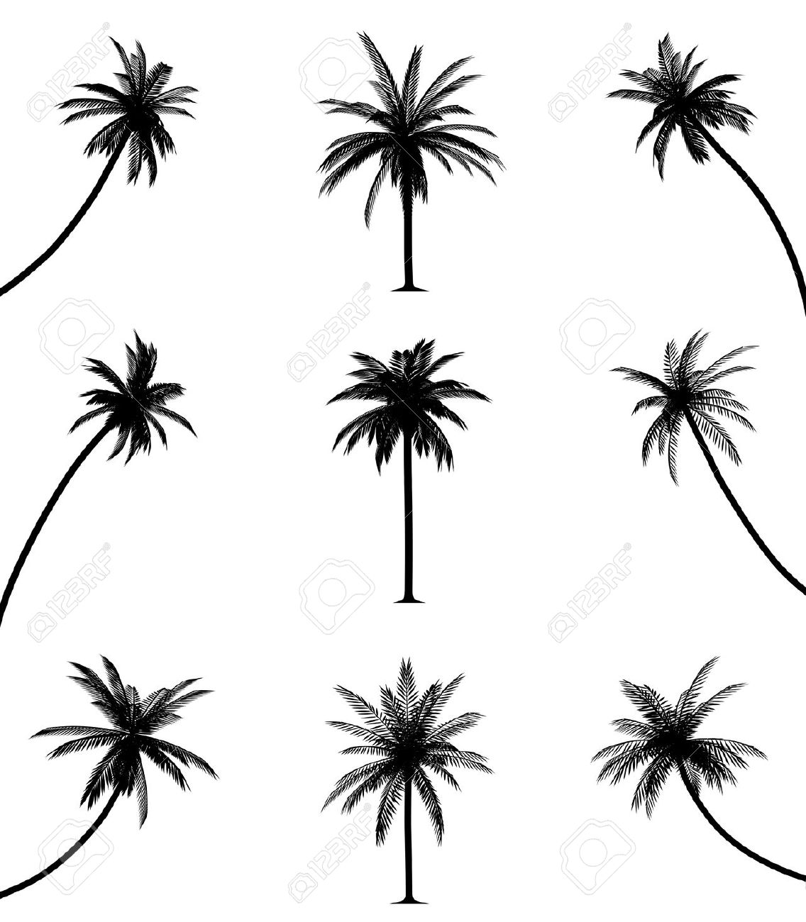 1136x1300 Shadow Drawing Palm Tree For Free Download