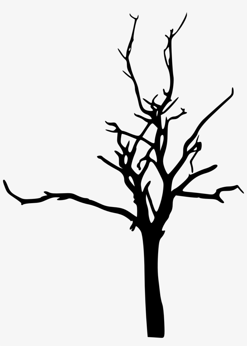 820x1148 Drawing Branches Scene