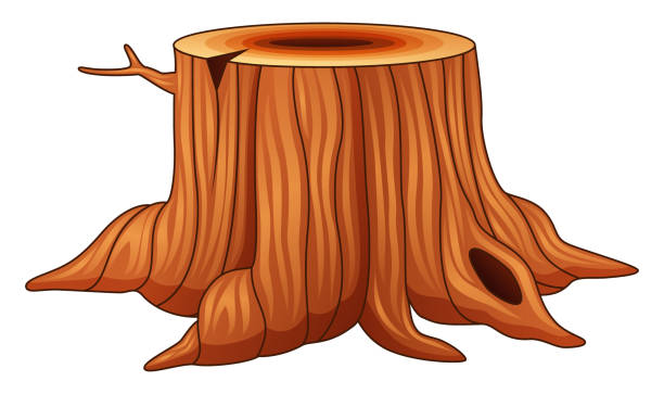 Tree Stump Drawing | Free download on ClipArtMag