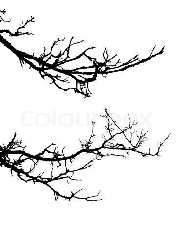 361x480 Tattoos Branch Tattoo, Tree Tattoo Designs