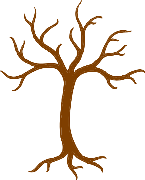 480x595 Stem Drawing Tree Trunk Transparent Png Clipart Free Download