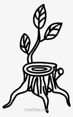 300x478 Tree Illustration Png Images Png Cliparts Free Download On Seekpng