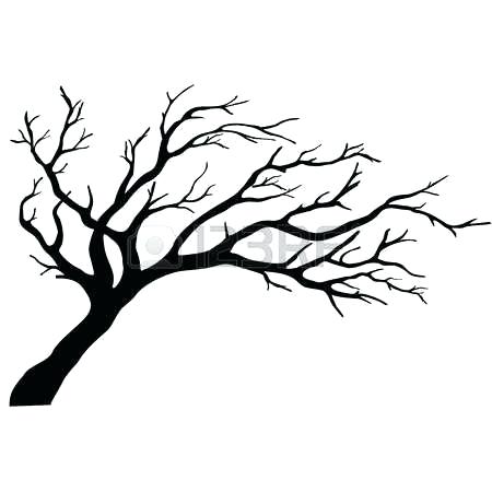 450x450 Drawing A Tree Branch A Drawing Of A Tree With Bare Branches Stock