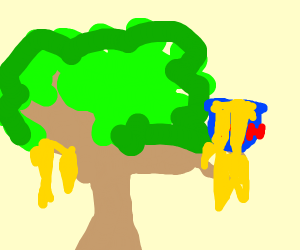 300x250 Honey In The Tree Tops