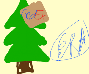 300x250 Package In The Tree Tops