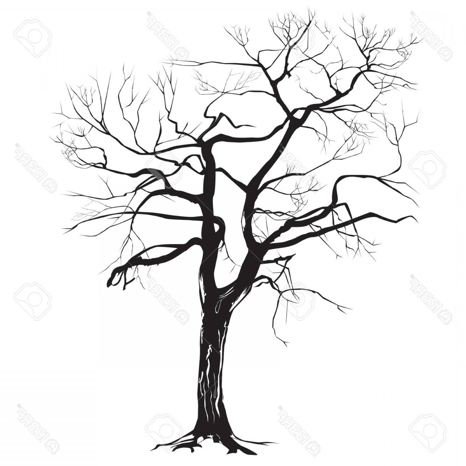 1560x1560 Tree Trunk Silhouette Vector Studiogrfx