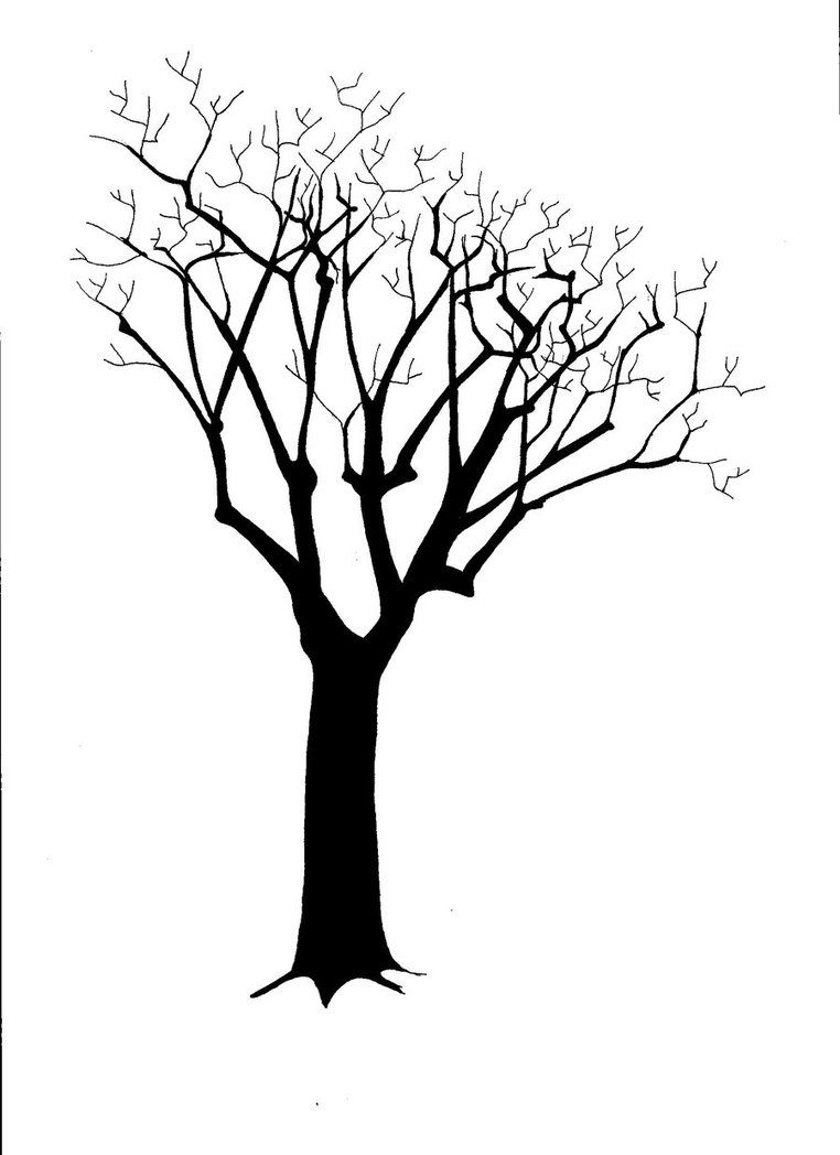 762x1048 images for gt silhouette tree trunk silhouette art tree