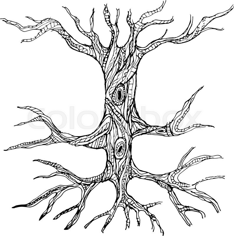 793x800 Ornate Bare Tree Trunk With Roots Stock Vector Colourbox