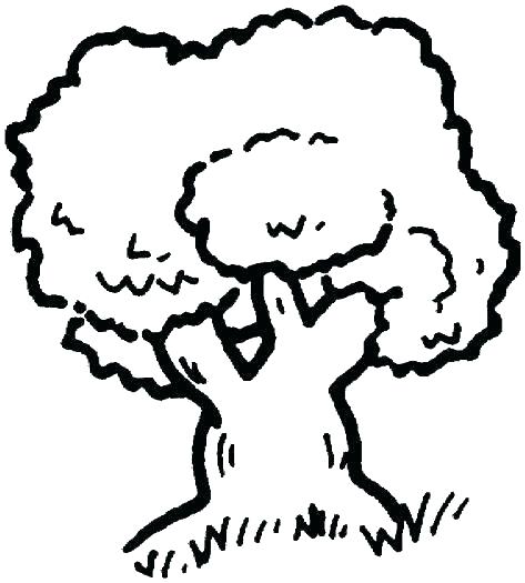 473x525 Outline Tree Trunk And Branches Template Image