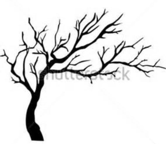 568x492 Painting Ideas Black, White Tree, Tree