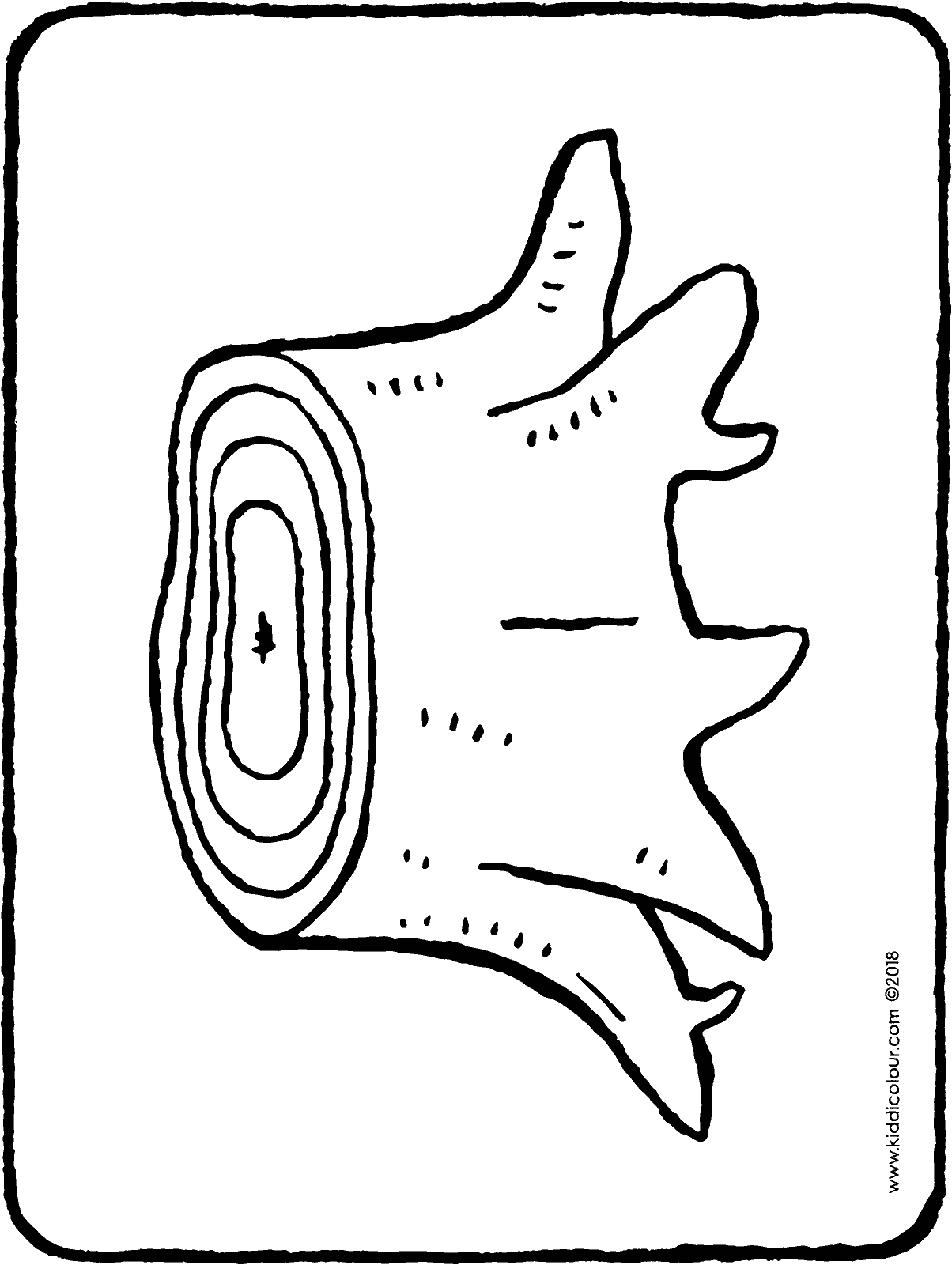 1204x1600 Tree Trunk