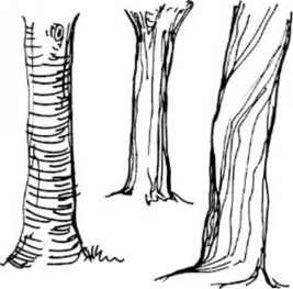 267x263 Draftsman Art Trees Shrubs