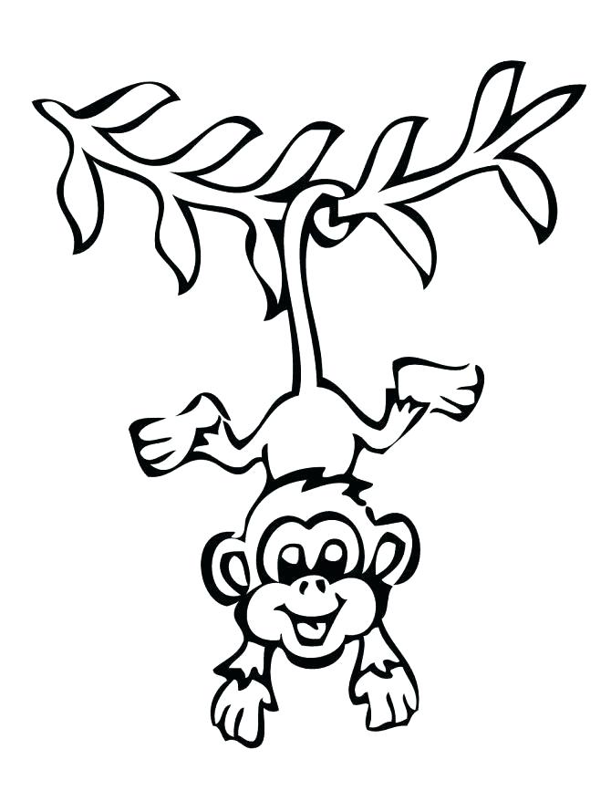 670x867 Easy Monkeys To Draw Cute Coloring Pages Kids A Collection