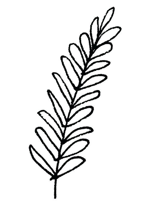 600x814 How To Draw Simple Leaves Leaf Draw Simple Leaves