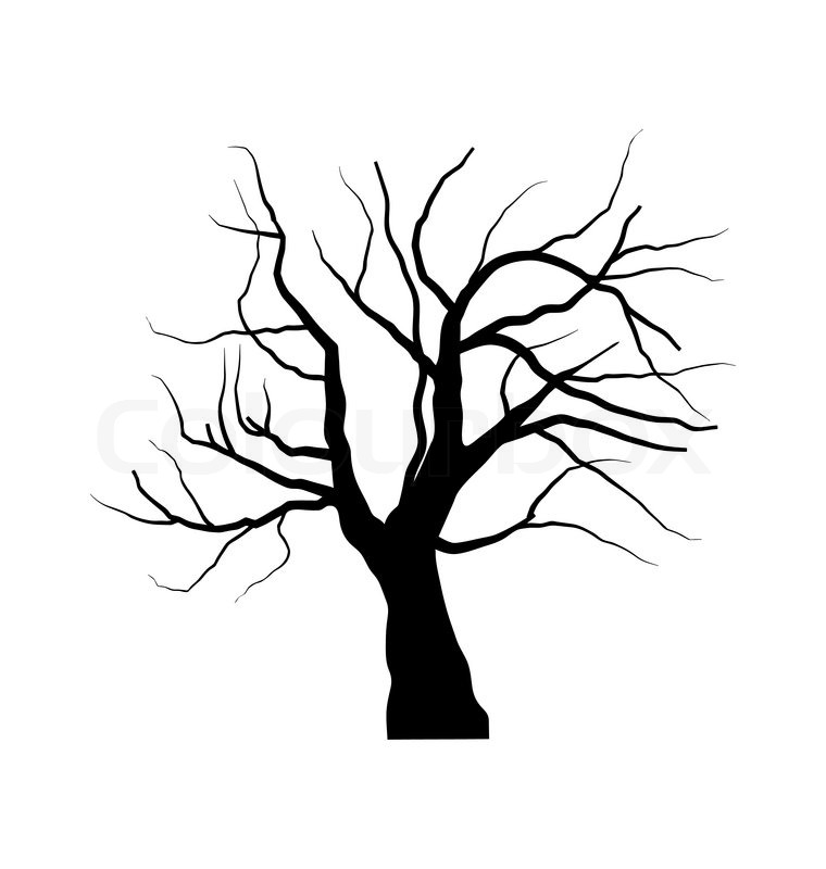 760x800 Illustration Sketch Of Dead Tree Stock Vector Colourbox