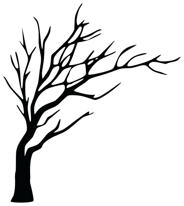 624x698 Simple Tree Drawing Simple Tree Drawing Without Leaves