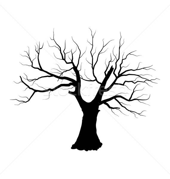 569x600 Sketch Of Dead Tree Without Leaves Isolated On White Backgroun