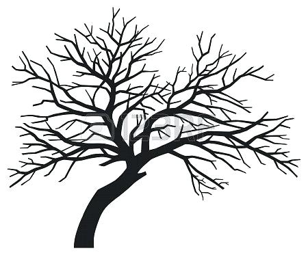 450x373 Tree No Leaves Outline Printable Trees Without Leaves Free