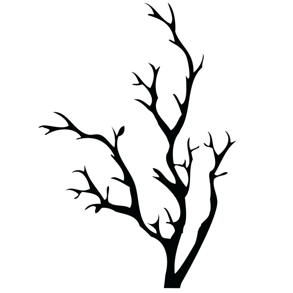 1024x1024 Tree Without Leaves Template Redcrown Club