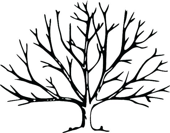 550x430 Free Fall Tree Coloring Pages Fall Tree Coloring